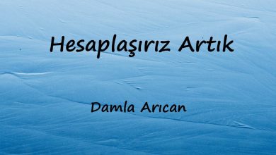 متن و ترجمه آهنگ Hesaplaşırız Artık از Damla Arıcan