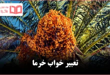 تعبیر خواب خرما