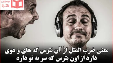 معنی ضرب المثل از آن نترس که های و هوی دارد از اون بترس که سر به تو دارد