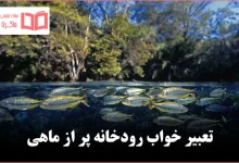 تعبیر خواب رودخانه پر از ماهی