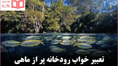 تعبیر خواب رودخانه پر از ماهی