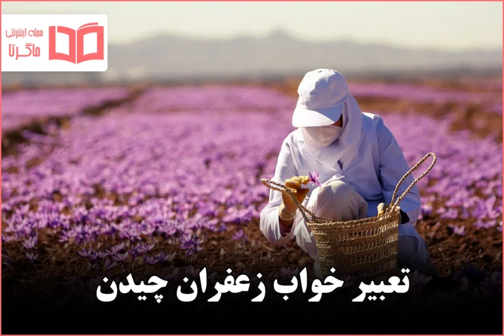 تعبیر خواب زعفران چیدن