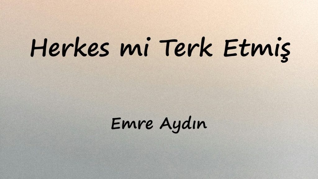 متن و ترجمه آهنگ Herkes mi Terk Etmiş از Emre Aydın