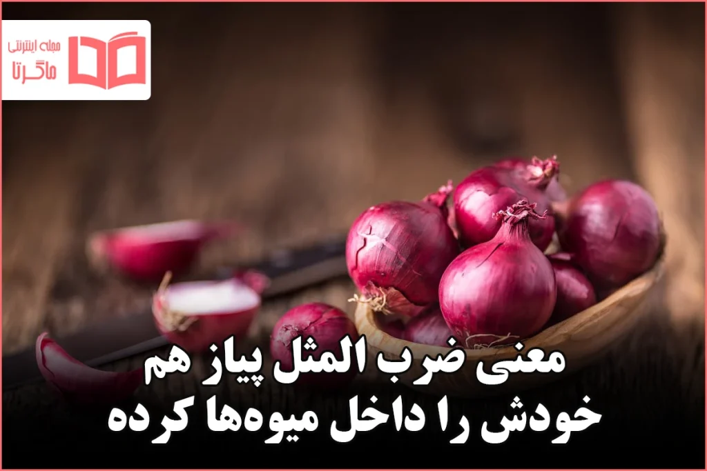 معنی ضرب المثل پیاز هم خودش را داخل میوه‌ها کرده