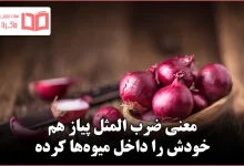 معنی ضرب المثل پیاز هم خودش را داخل میوه‌ها کرده