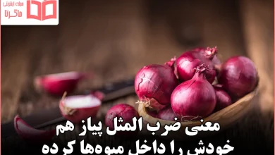 معنی ضرب المثل پیاز هم خودش را داخل میوه‌ها کرده