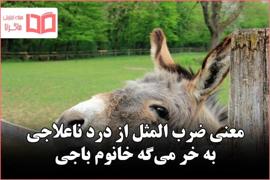 معنی ضرب المثل از درد ناعلاجی به خر می‌گه خانوم باجی