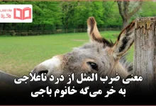 معنی ضرب المثل از درد ناعلاجی به خر می‌گه خانوم باجی