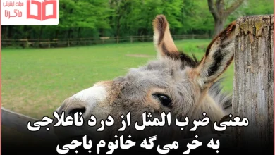 معنی ضرب المثل از درد ناعلاجی به خر می‌گه خانوم باجی