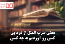 معنی ضرب المثل از درد بی کسی رو آوردیم به چه کسی