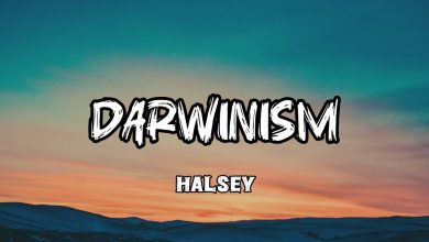 متن و ترجمه آهنگ Darwinism از Halsey