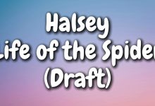 متن و ترجمه آهنگ Life of the Spider (Draft) از Halsey