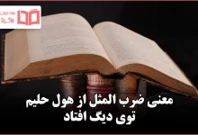 معنی ضرب المثل از هول حلیم توی دیگ افتاد