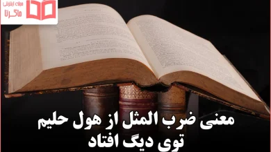 معنی ضرب المثل از هول حلیم توی دیگ افتاد