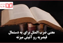 معنی ضرب المثل برای یه دستمال قیصریه رو آتیش میزنه