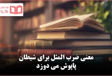 معنی ضرب المثل برای شیطان پاپوش می دوزد