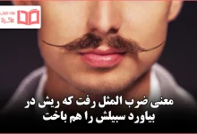 معنی ضرب المثل رفت که ریش در بیاورد سبیلش را هم باخت