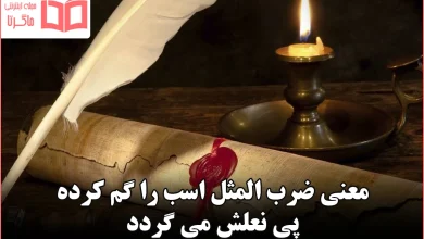 معنی ضرب المثل اسب را گم کرده پی نعلش می گردد