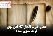 معنی ضرب المثل کله اش بوی قرمه سبزی میده