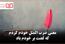 معنی ضرب المثل خودم کردم که لعنت بر خودم باد