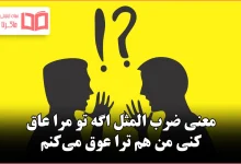 معنی ضرب المثل اگه تو مرا عاق کنی من هم ترا عوق می‌کنم