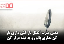 معنی ضرب المثل ناز کش داری ناز کن نداری پاتو رو به قبله دراز کن