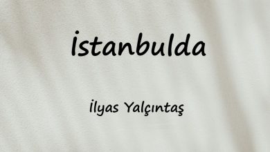 متن و ترجمه آهنگ İstanbulda از İlyas Yalçıntaş