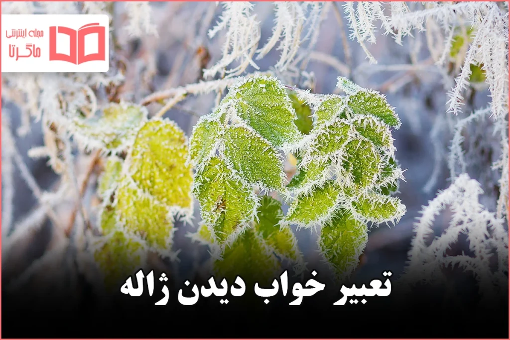 تعبیر خواب دیدن ژاله