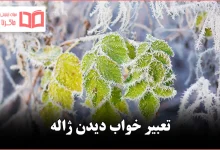 تعبیر خواب دیدن ژاله