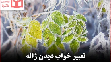 تعبیر خواب دیدن ژاله