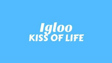 متن و ترجمه آهنگ Igloo از KISS OF LIFE