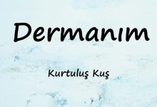 متن و ترجمه آهنگ Dermanım از Kurtuluş Kuş