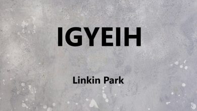 متن و ترجمه آهنگ IGYEIH از Linkin Park