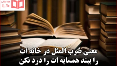 معنی ضرب المثل در خانه ات را ببند همسایه ات را دزد نکن