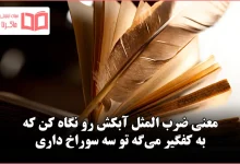 معنی ضرب المثل آبکش رو نگاه کن که به کفگیر می‌گه تو سه سوراخ داری