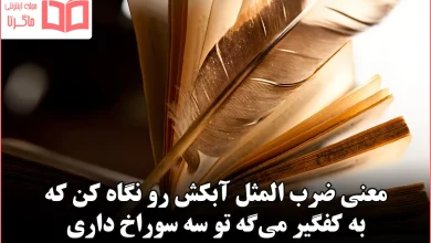 معنی ضرب المثل آبکش رو نگاه کن که به کفگیر می‌گه تو سه سوراخ داری