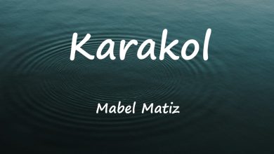 متن و ترجمه آهنگ Karakol از Mabel Matiz