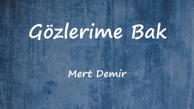 متن و ترجمه آهنگ Gözlerime Bak از Mert Demir