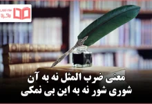 معنی ضرب المثل نه به آن شوری شور نه به این بی نمکی