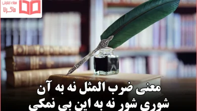 معنی ضرب المثل نه به آن شوری شور نه به این بی نمکی