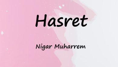 متن و ترجمه آهنگ Hasret از Nigar Muharrem