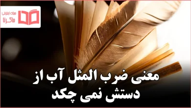 معنی ضرب المثل آب از دستش نمی چکد
