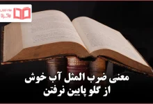 معنی ضرب المثل آب خوش از گلو پایین نرفتن