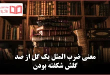 معنی ضرب المثل یک گل از صد گلش شکفته بودن