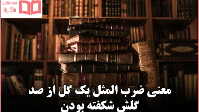 معنی ضرب المثل یک گل از صد گلش شکفته بودن