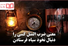 معنی ضرب المثل کسی را دنبال نخود سیاه فرستادن