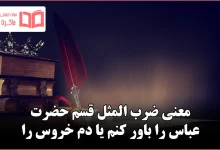 معنی ضرب المثل قسم حضرت عباس را باور کنم یا دم خروس را