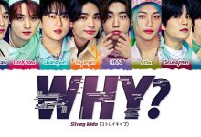 متن و ترجمه آهنگ WHY از Stray Kids