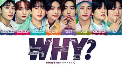 متن و ترجمه آهنگ WHY از Stray Kids