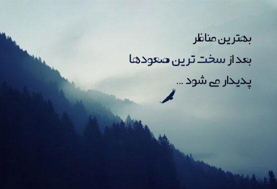 عکس پروفایل انگیزشی درباره بالا رفتن از پلههای موفقیت